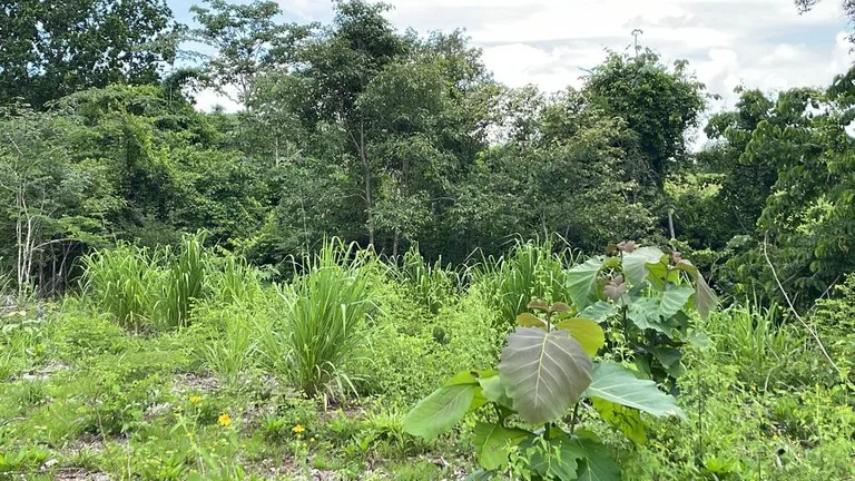 Agricultural Land in Limonal