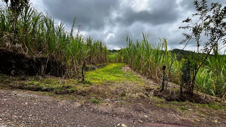 Agricultural Land in Centro de Pérez Zeledón