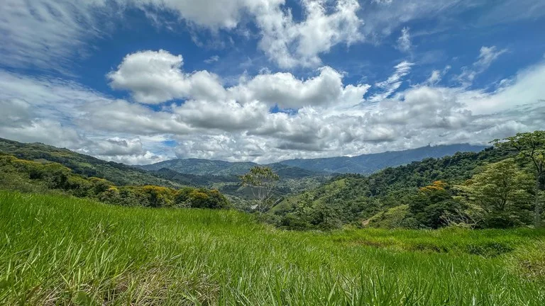 Estate & Development in Platanillo de Dominical