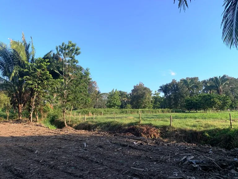 Home Construction Site in Uvita