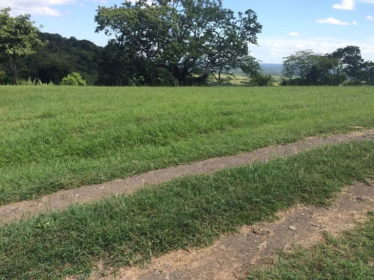 Residential Lots in Sardinal