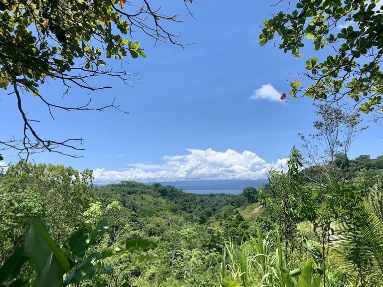 Home Construction Site in Puerto Jimenez