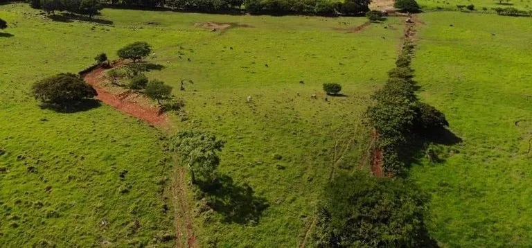 Agricultural Land in Los Angeles