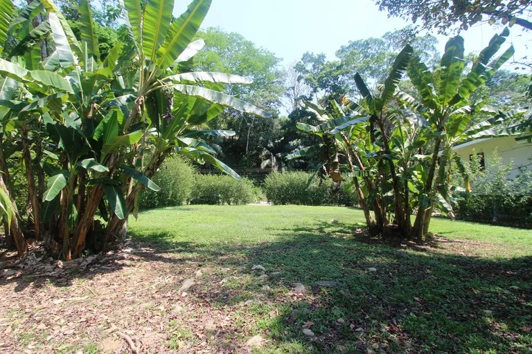 Home Construction Site in Barú