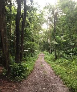 Land in Cahuita