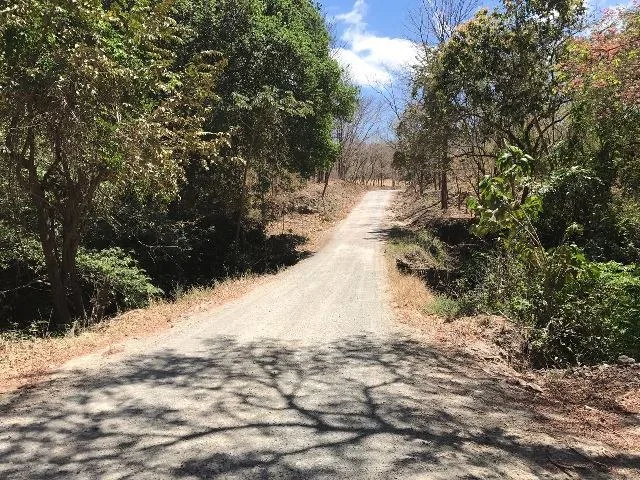 Agricultural Land in Guardia