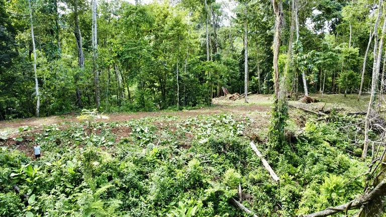 Ideal location for a home, family compound, or investment in the hospitality industry. in Uvita