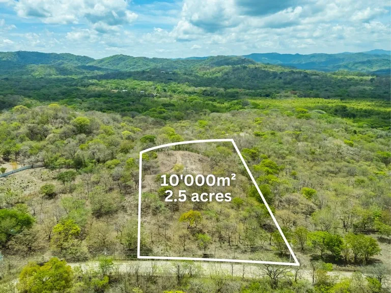 Agricultural Land in Playa Negra