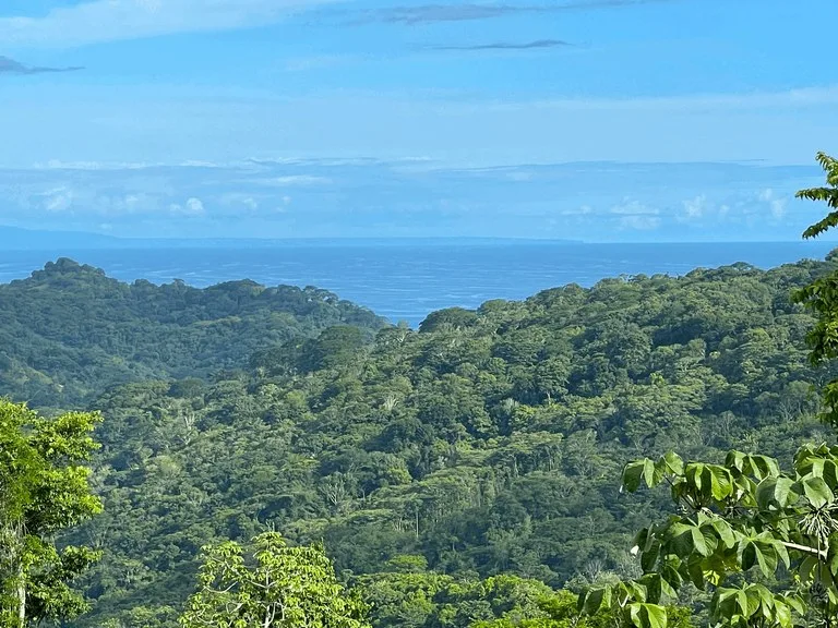 Home Construction Site in Dominical