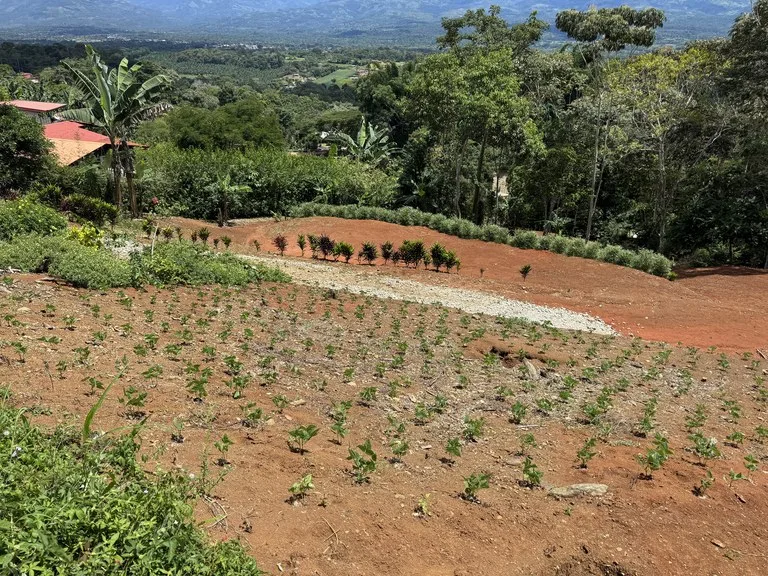 Home Construction Site in Centro de Pérez Zeledón