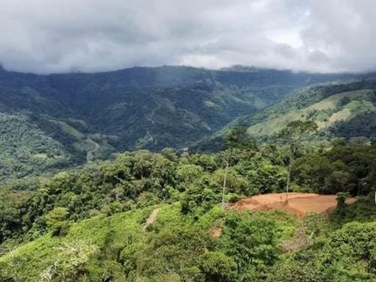 Development Parcel in Uvita