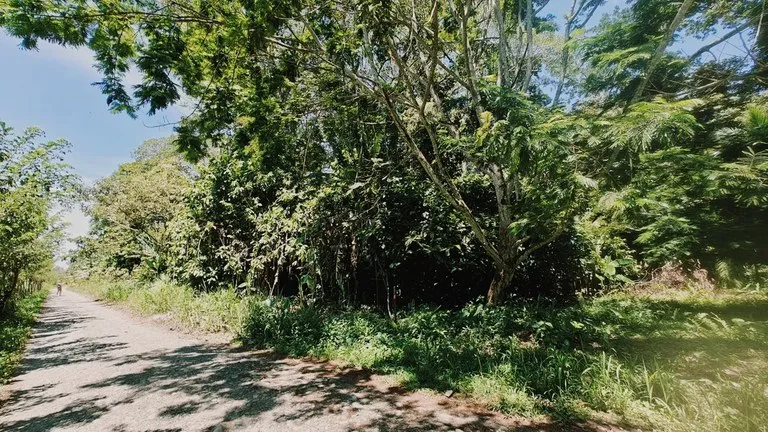 Home Construction Site in Puerto Viejo