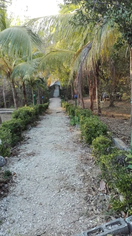 Hotel/Resort/Hostel in San Antonio