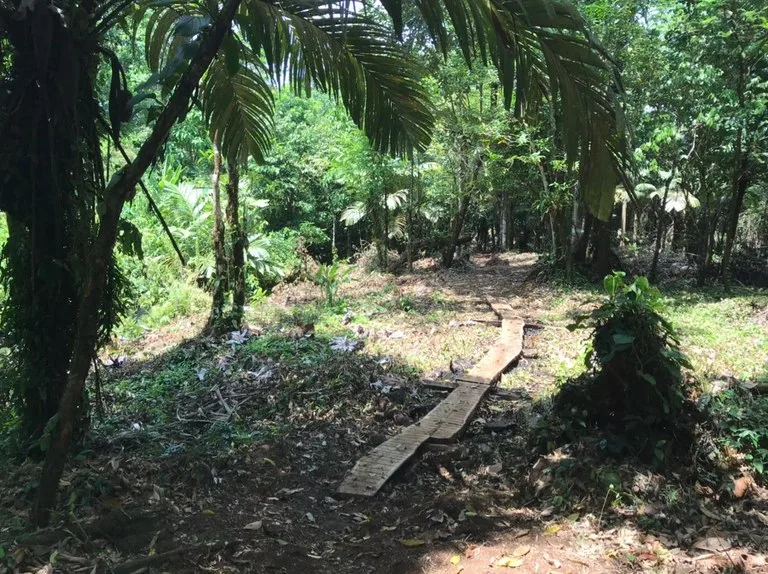 Development Parcel in Aguas Claras