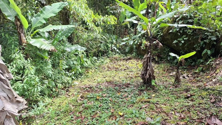 Home Construction Site in Cajón
