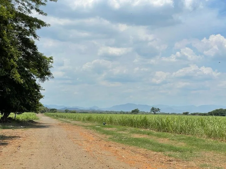 Agricultural Land in Carrillo