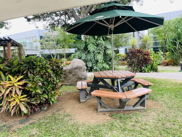 Office Condo in La Aurora