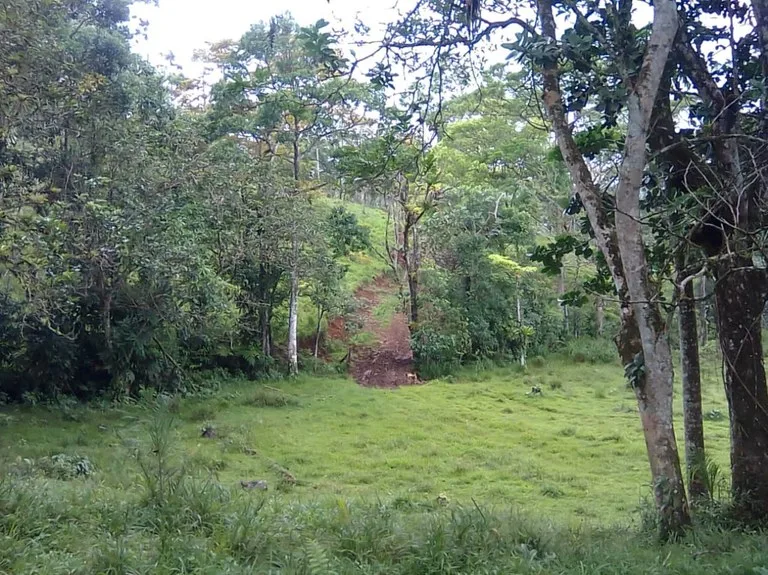Agricultural Land in Aguas Claras