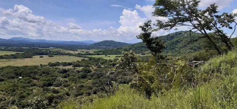 Agricultural Land in Santa Cruz