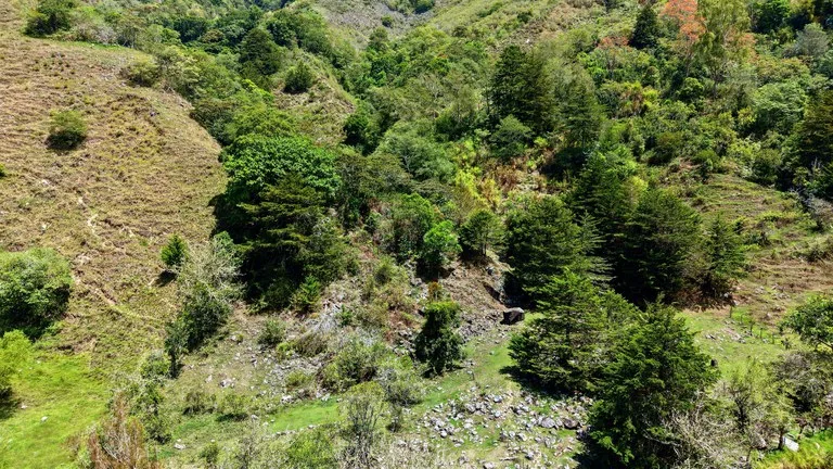 Agricultural Land in Herradura