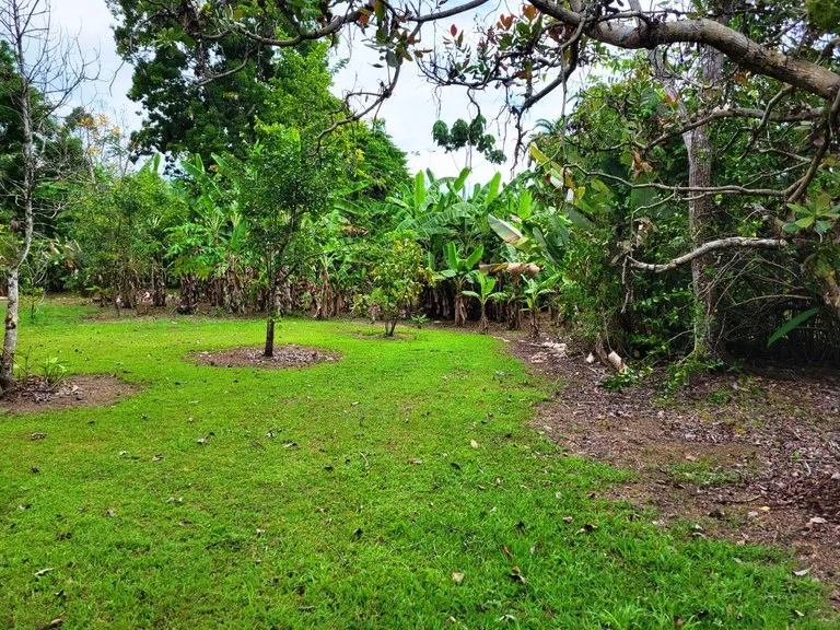Home Construction Site in Cañaza