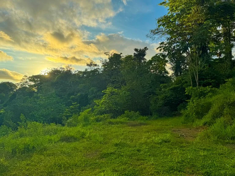 Residential and commercial Land in Uvita