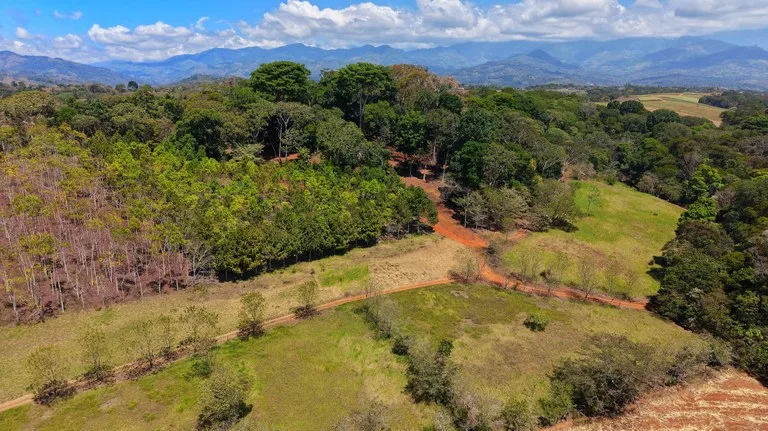 Agricultural Land in Daniel Flores