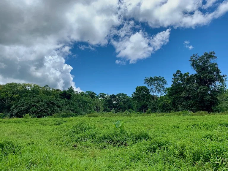 Home Construction Site in Puerto Jimenez