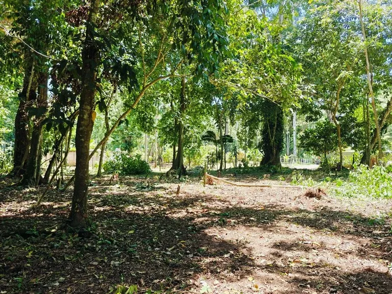 Home Construction Site in Puerto Viejo