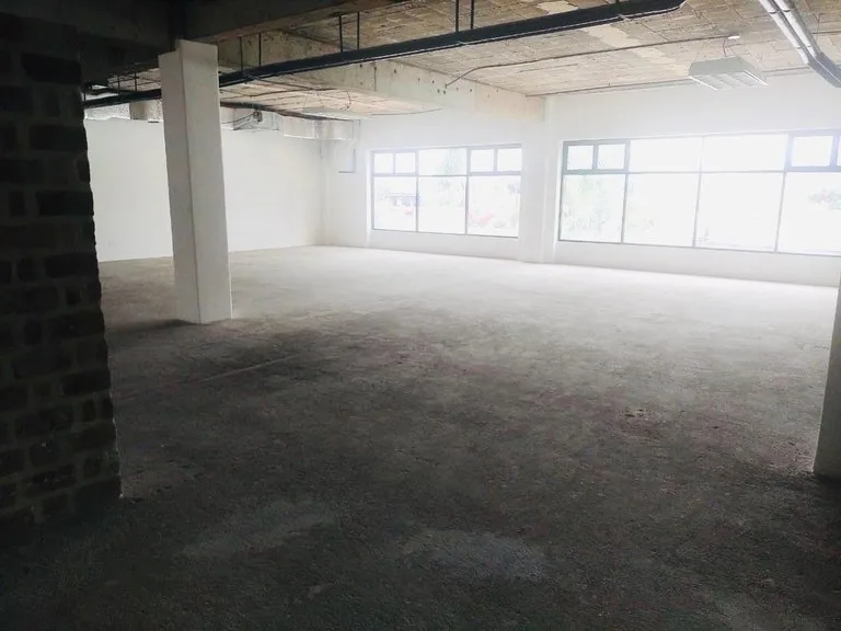 Office Condo in La Sabana — photo 4