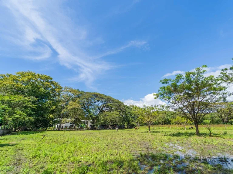 Home Construction Site in Playa Samara