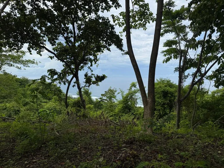 Home Construction Site in Corozalito