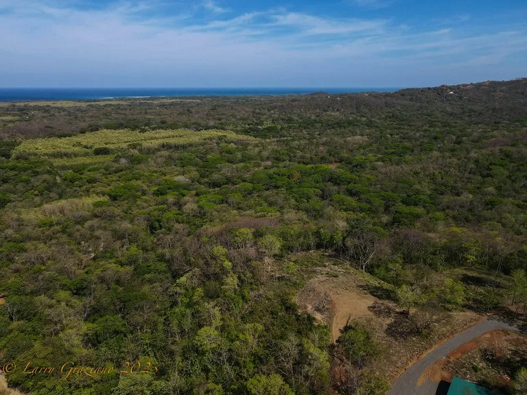 Agricultural Land in Playa Junquillal