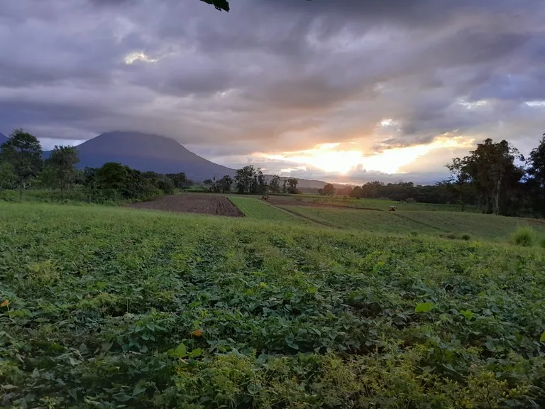Development Parcel in La Fortuna