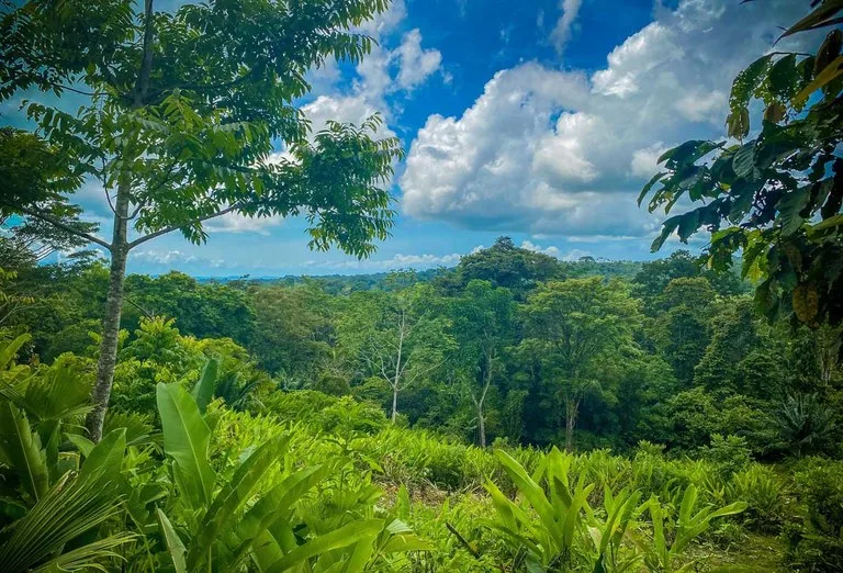 Development Parcel in Puerto Jimenez