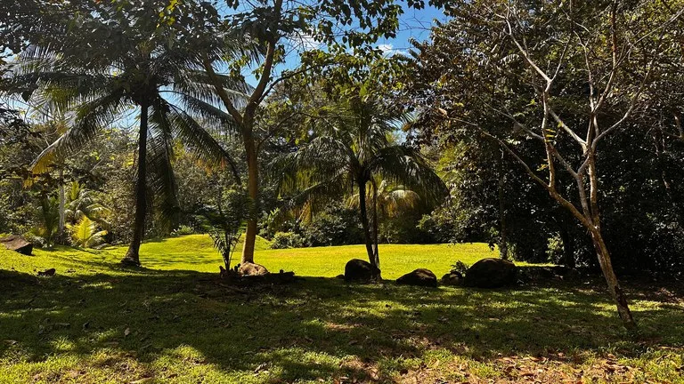 Home Construction Site in Uvita