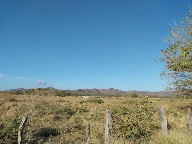 Agricultural Land in Fildelfia