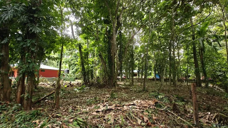 Home Construction Site in Puerto Viejo