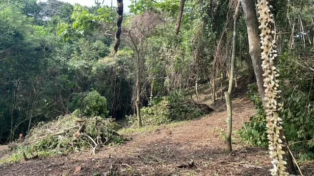 Agricultural Land in Playa San Juanillo