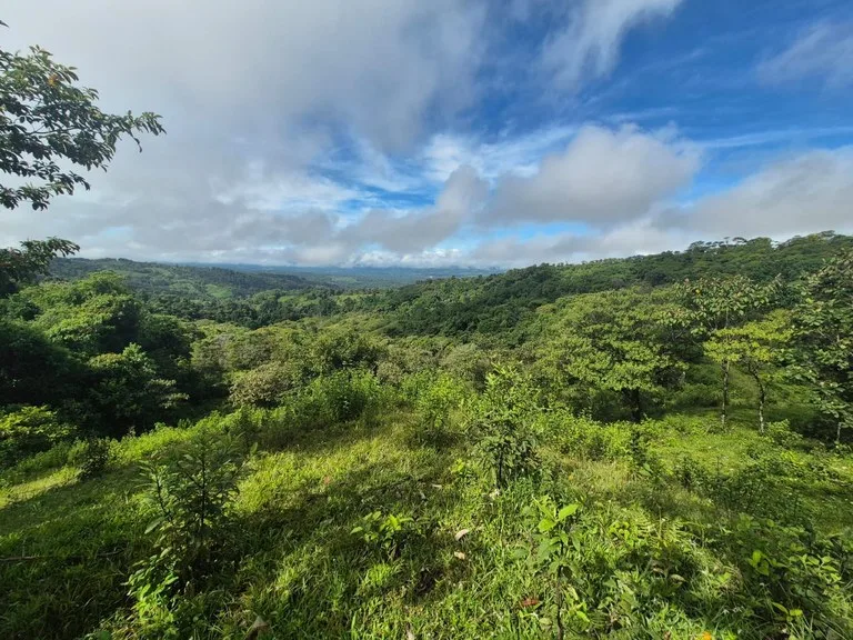 Agricultural Land in La Linda General Viejo