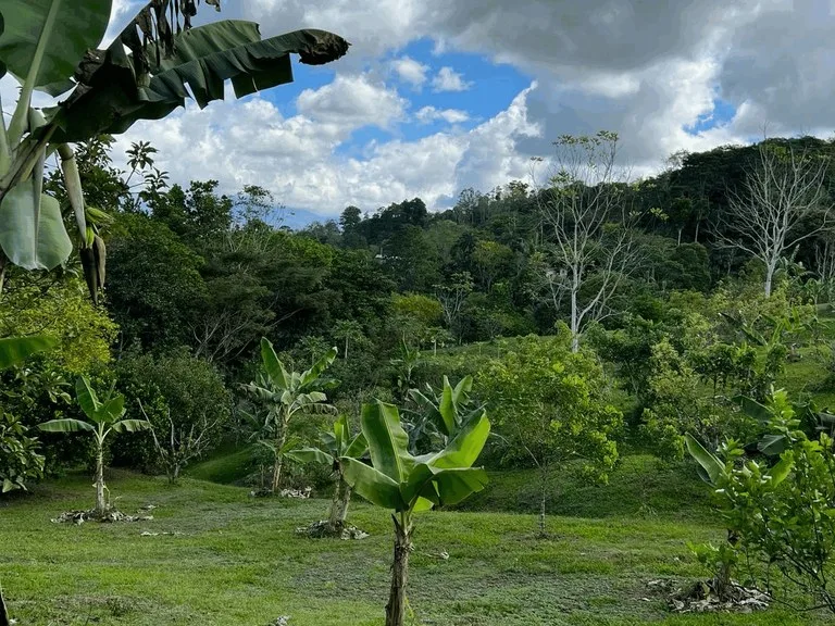 Agricultural Land in San Isidro del General