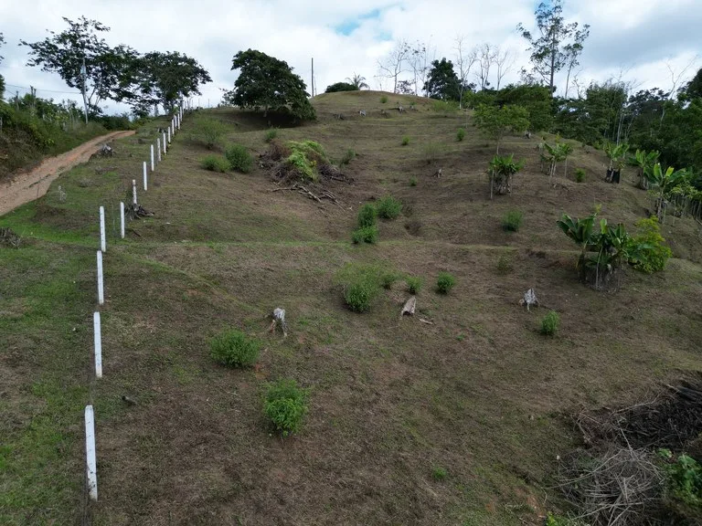 Home Construction Site in San Isidro del General