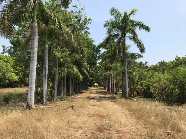 Home Construction Site in Barrio Limón