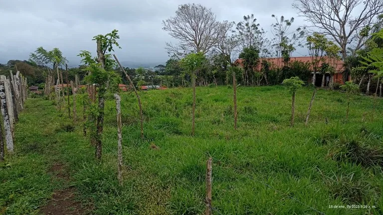 Home Construction Site in Nuevo Tronadora