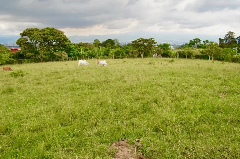 Home Construction Site in San Isidro