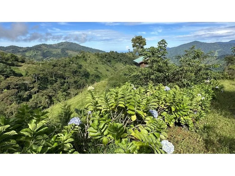 Agricultural Land in Barú