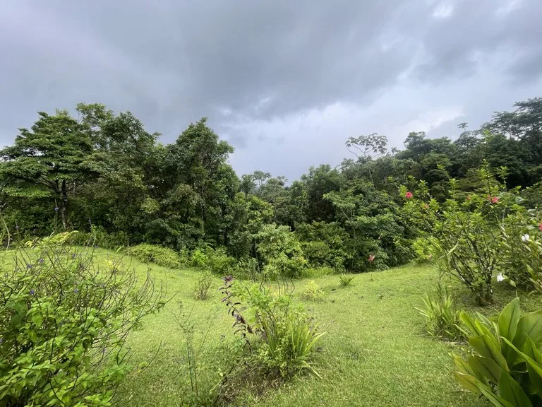 Development Parcel in Nuevo Arenal