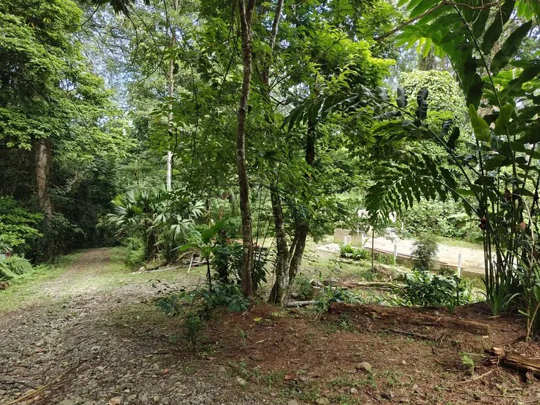Home Construction Site in Puerto Viejo
