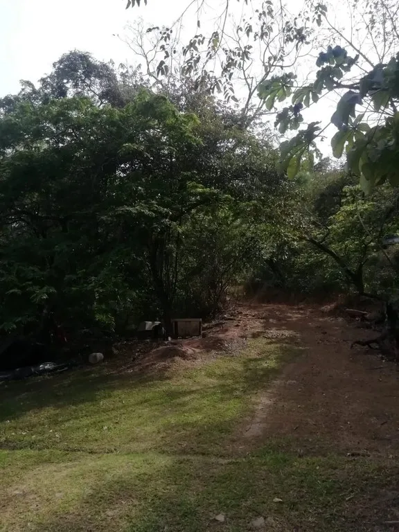 Home Construction Site in Rio Oro