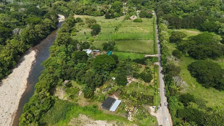 Agricultural Land in Barú